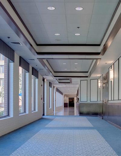 Brightly lit hotel corridor with large windows overlooking landscaped trees, featuring fresh blue carpet, updated wall paneling, and modern ceiling lights at the Comfort Inn Conference Center in Bowie, Maryland.