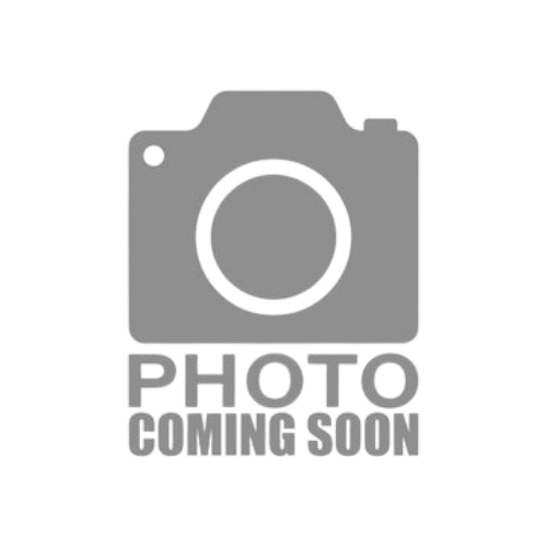 Sasha Willis | Operations Manager | HD2 Architects